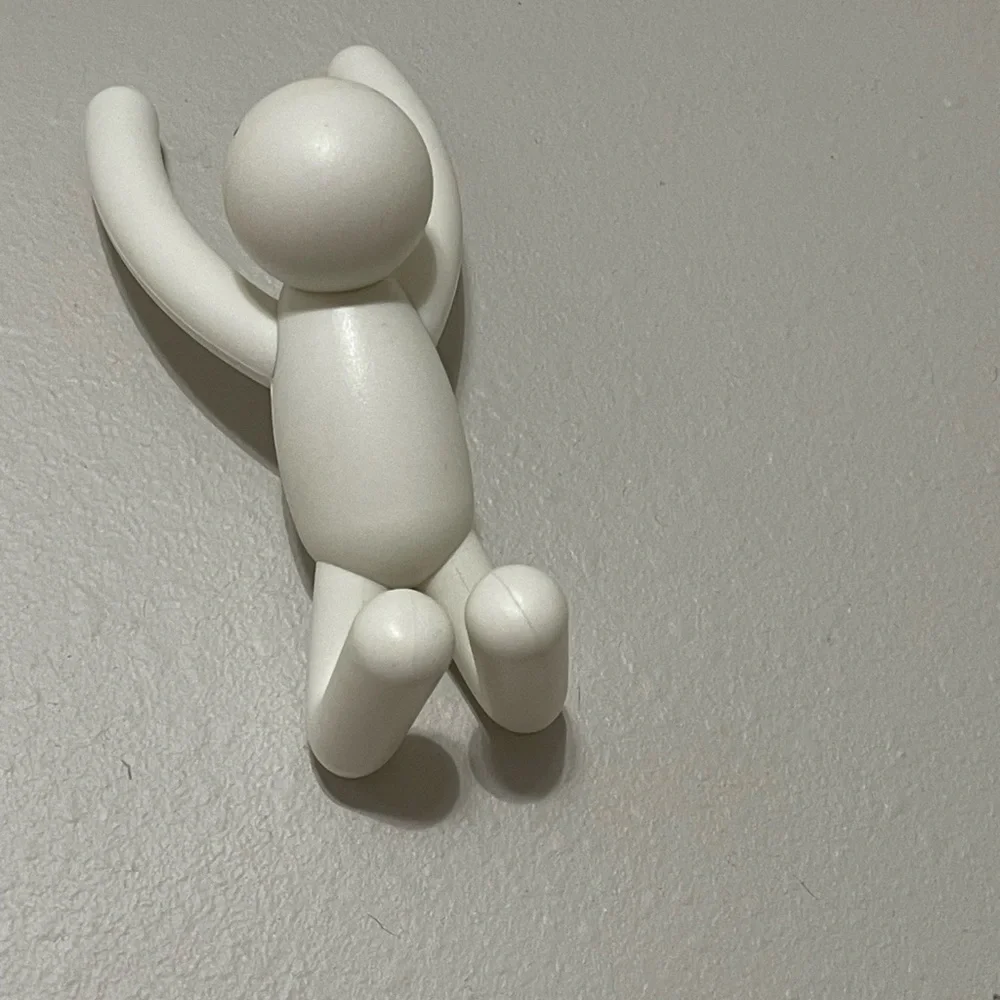 Wall hooks container store